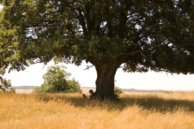 Girl reading under tree