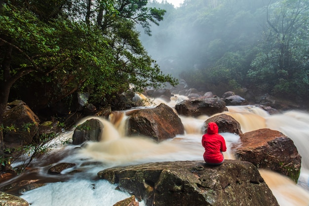 A girl in a red coat sitting  on the rock in the rainforest stream.