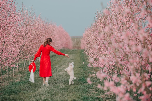 A girl in a red dress walks in the spring garden and plays with a dog