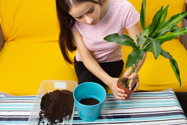 Girl replanting a plant in a pot