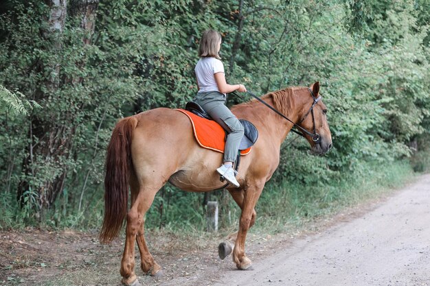 A girl rides a horse in the hot summer in the forest