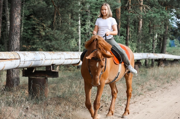 A girl rides a horse in the hot summer in the forest