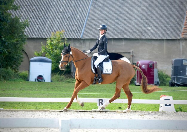 Foto ragazza a cavallo nel parco