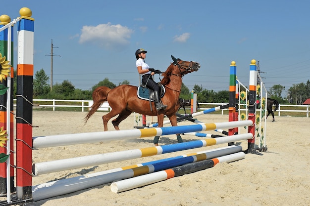 Girl riding a horse stops in front of the barrier on training.