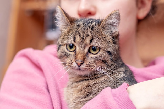 小さな縞模様の子猫を抱えている部屋の女の子