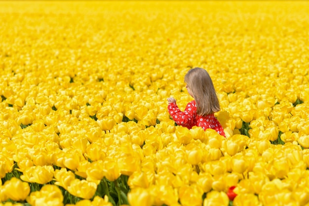 Девушка бежит по желтому полю тюльпанов