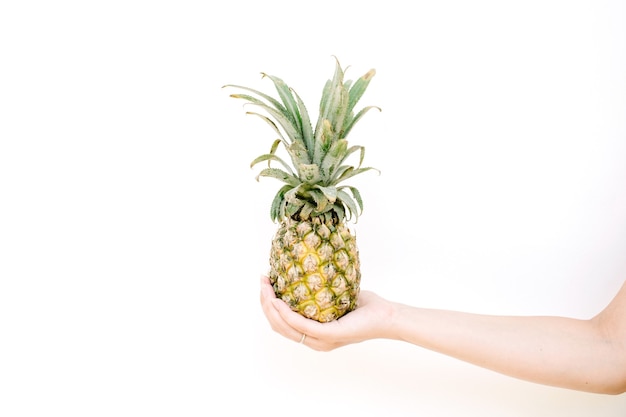 Girl's hand holding pineapple.