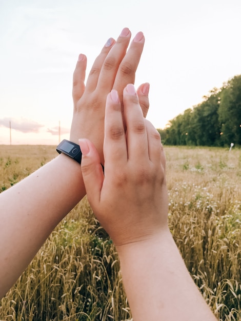 Girl's hands on the background of a wheat field