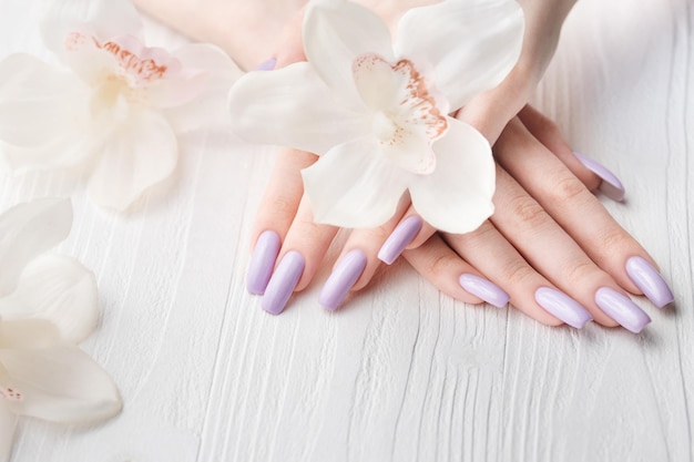 Girl's hands with delicate purple manicure and orchid flowers