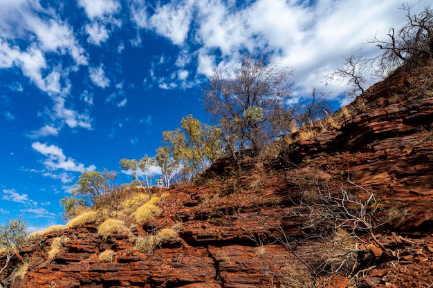 girl in shorts hiking in karijini national park, western australia hiking on the edge of a gorge