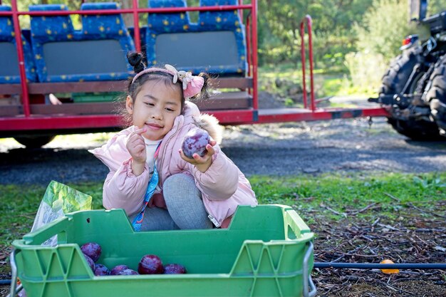 A girl sits in a green bin with a red bucket that says'the farm'on it.