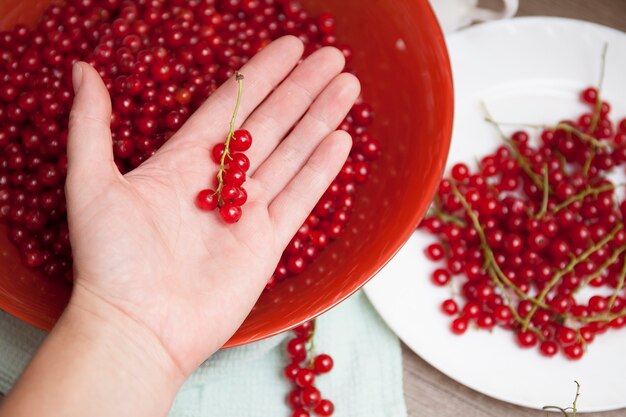 The girl sorts and sorts red currants in the kitchen