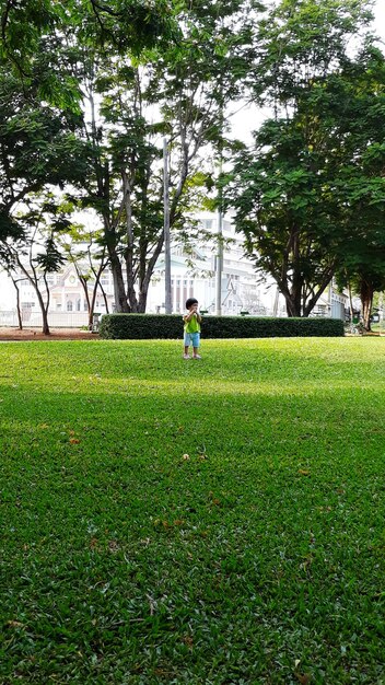 Photo girl standing on grassy field against trees at park