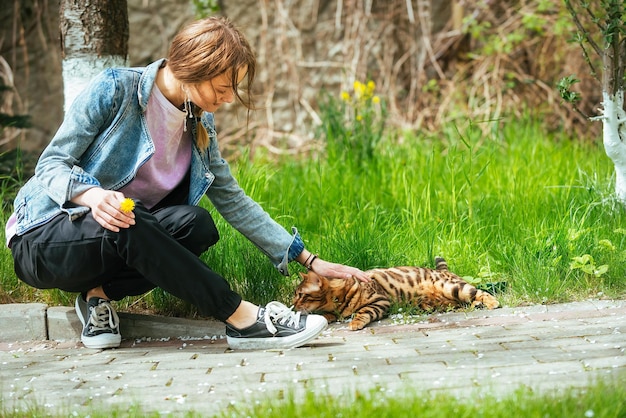 the girl strokes on a walk near the house of a beautiful bright Bengal cat