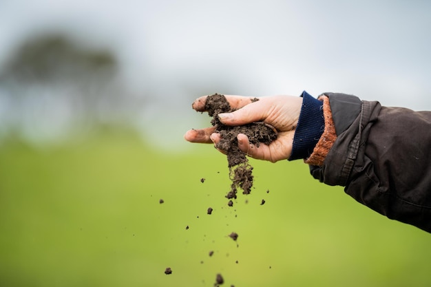 곰팡이를 찾는 목장에서 현장 과학자의 토양과 식물 샘플을 연구하는 소녀