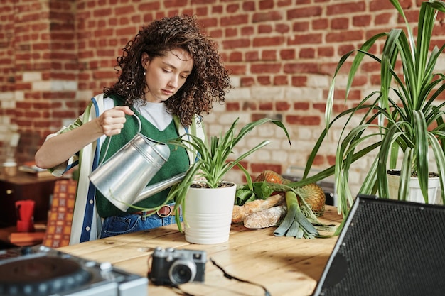 Photo girl in stylish casualwear watering domestic plants with long green leaves