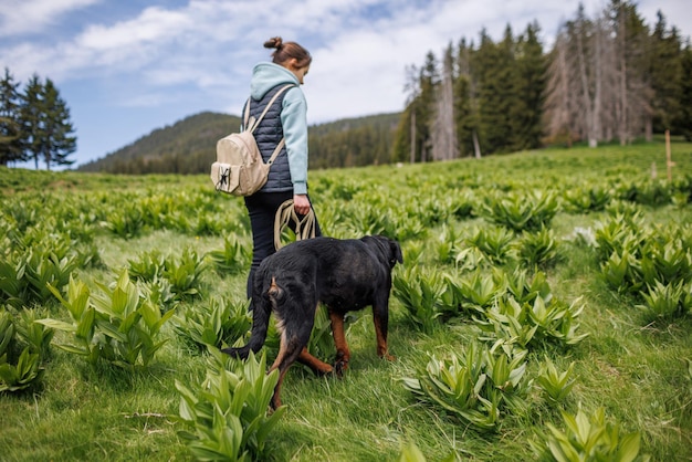 スーツを着た女の子は、木の背景に山の植生と牧草地に沿ってロットワイラー犬種の犬と一緒に歩く