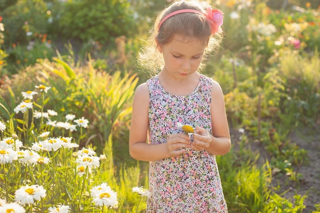 A girl in a sundress breaks off the petals of a chamomile in the summer