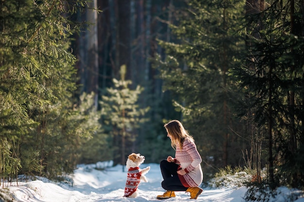 セーターを着た女の子とジャック・ラッセル・テリア犬種の犬が、雪のクリスマス・コンセプトの冬のトウヒの森で遊んでいる