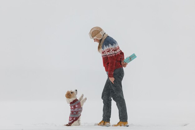 A girl in a sweater gives a Jack Russell Terrier a gift on a white background during a blizzard Christmas concept