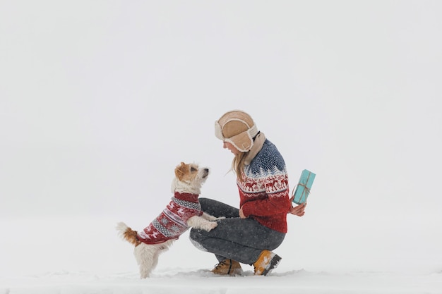 Una ragazza in un maglione dà a un jack russell terrier un regalo su uno sfondo bianco durante un concetto di natale blizzard
