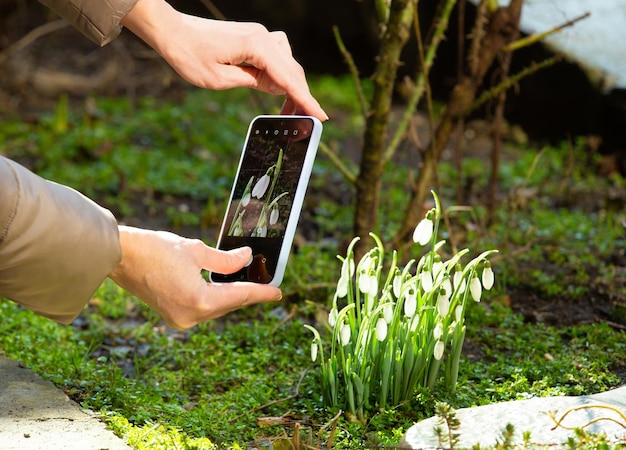 Girl takes on the phone blooming snowdrops