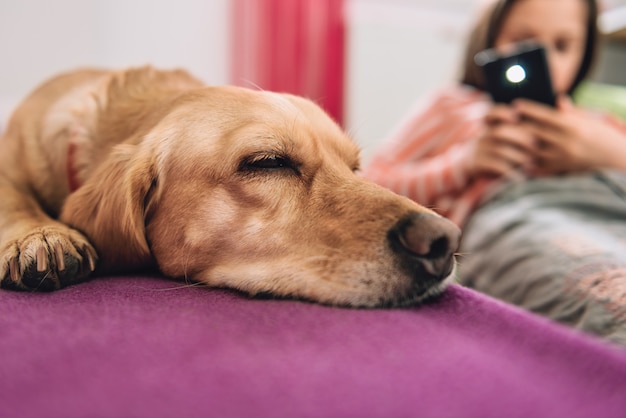 Girl taking picture of dog