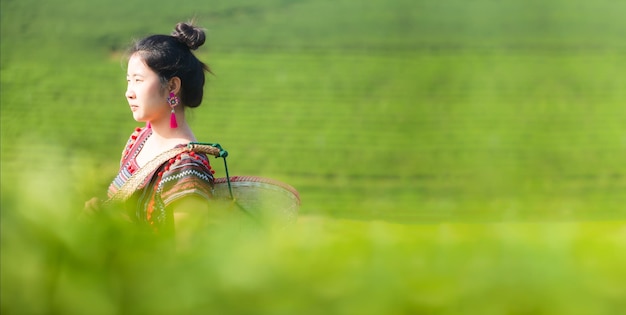 girl and tea plantationHill tribe Asian woman in traditional clothes collecting tea leaves with