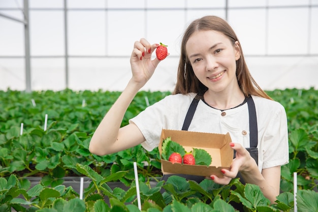 Girl teen farmer showing big red fresh sweet strawberry fruit from indoor green house organic farm