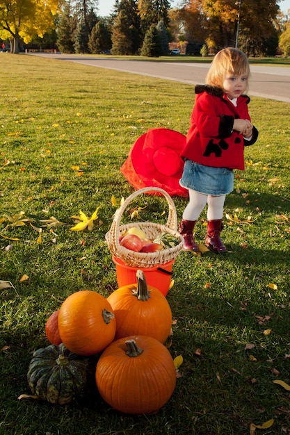 Girl toddler in autumn park.