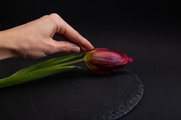 Girl touches a beautiful flower with her hands