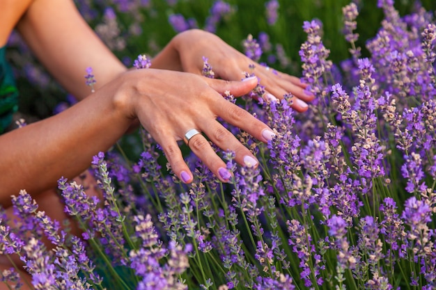 The girl touches the lavender flowers on the farm, a small field with lavender