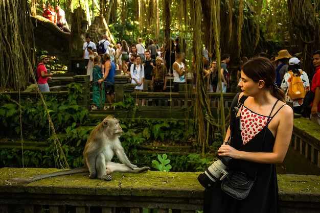 A girl tourist looks at a monkey in a monkey forest Ubud Bali Indonesia
