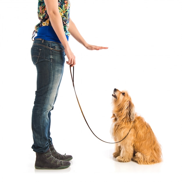 Girl training a dog