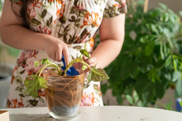 girl transplanting a flower into a new pot