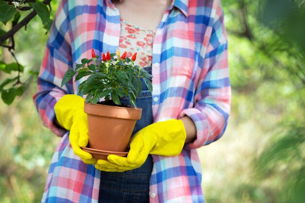 Girl transplants flowers in the garden. flower pots and plants for transplanting