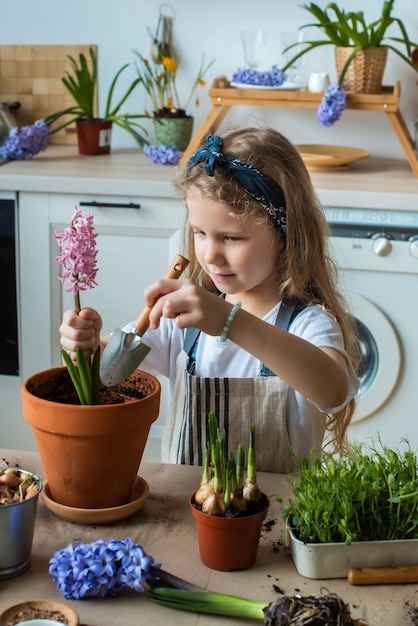 Ragazza trapianta fiori e piante d'appartamento un bambino in una bandana piante bulbi giacinti microgreens