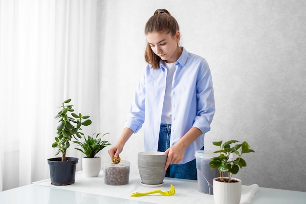 La ragazza trapianta una pianta d'appartamento crassula in un nuovo vaso di fiori concetto di cura delle piante d'appartamento