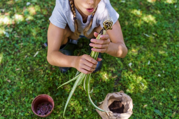 Girl transplants a root