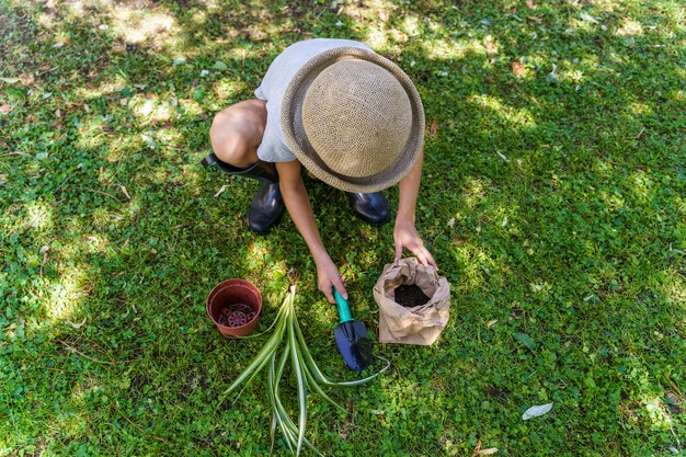 Girl transplants a root