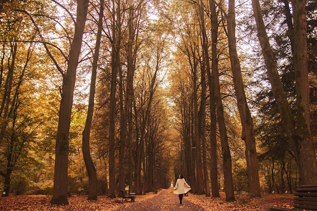 Girl walking in the park in autumn