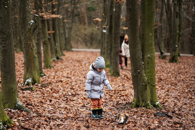 Girl walking with kitten outdoor at wood