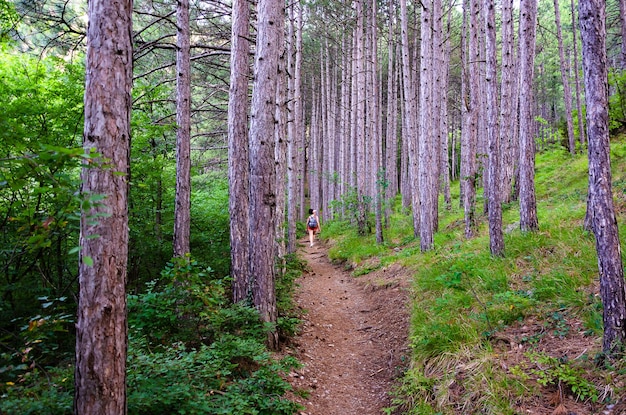 A girl walks along the road through a pine forest.