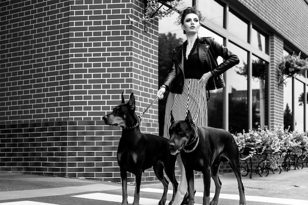 A girl walks along the street in the city along the building with two Dobermans on a leash