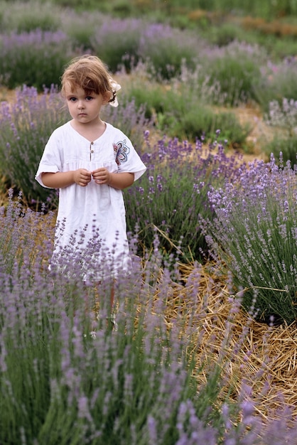 Girl walks collecting flowers on a lavender field.