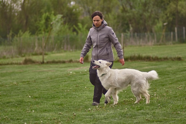 女の子は犬と一緒に公園に歩く