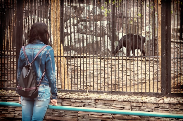 The girl walks through the zoo and looking at animals in cages. Black Jaguar in a cage.