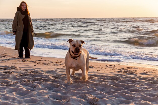 Photo the girl walks with the dog along the beach