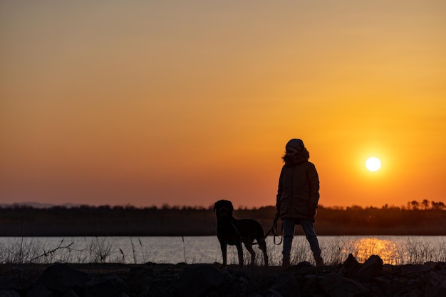 A girl walks with a friend a guard dog of the Rottweiler breed against the backdrop of a lake and sunset