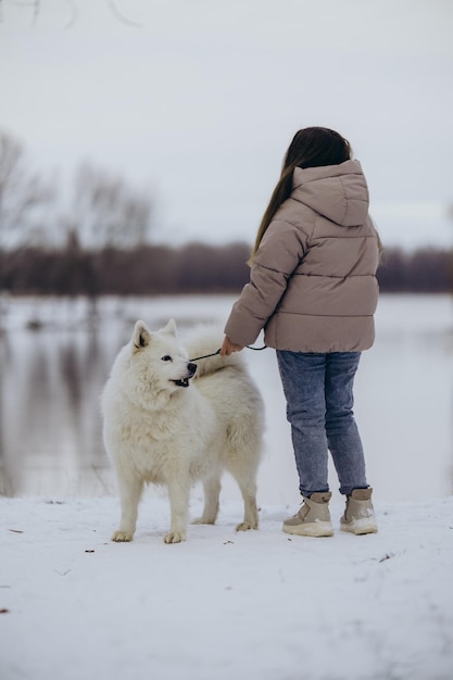 A girl walks with her beloved pet Samoyed in winter on the shore of a lake in the park Walking the dog in winter